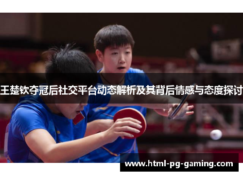 王楚钦夺冠后社交平台动态解析及其背后情感与态度探讨